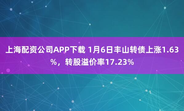 上海配资公司APP下载 1月6日丰山转债上涨1.63%，转股溢价率17.23%