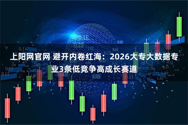 上阳网官网 避开内卷红海：2026大专大数据专业3条低竞争高成长赛道
